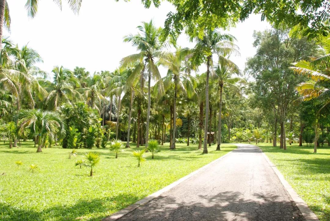 云南西双版纳旅游攻略app,云南西双版纳旅游攻略自由行12月