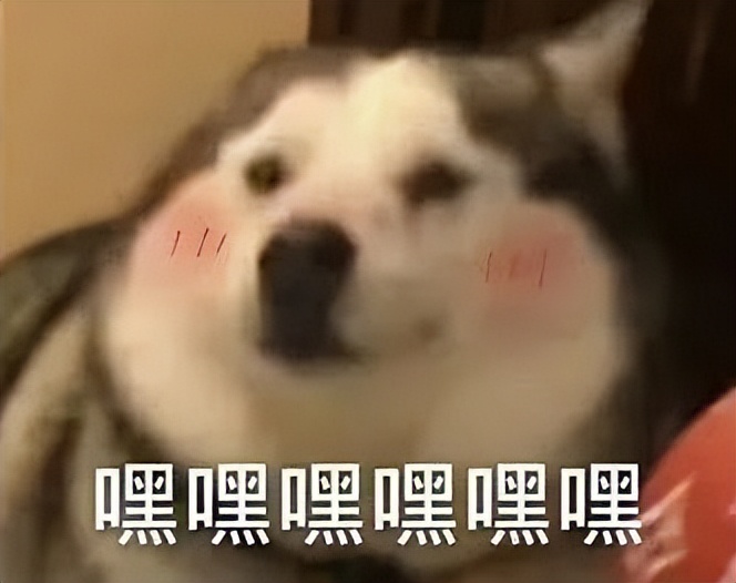 贩剑表情包评论区,贩剑表情包不回消息