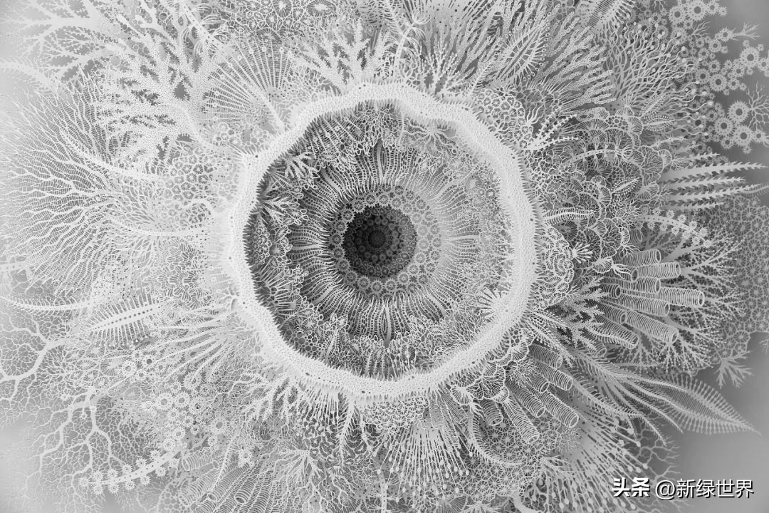 纸艺作品绘画,千变万化的纸艺术作品