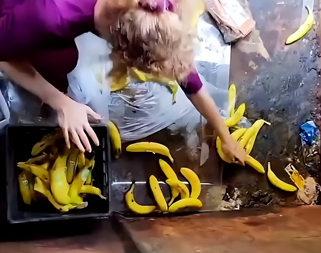 美国网红连续10年翻垃圾箱找吃的：车厘子用盆装，还有菲力牛排