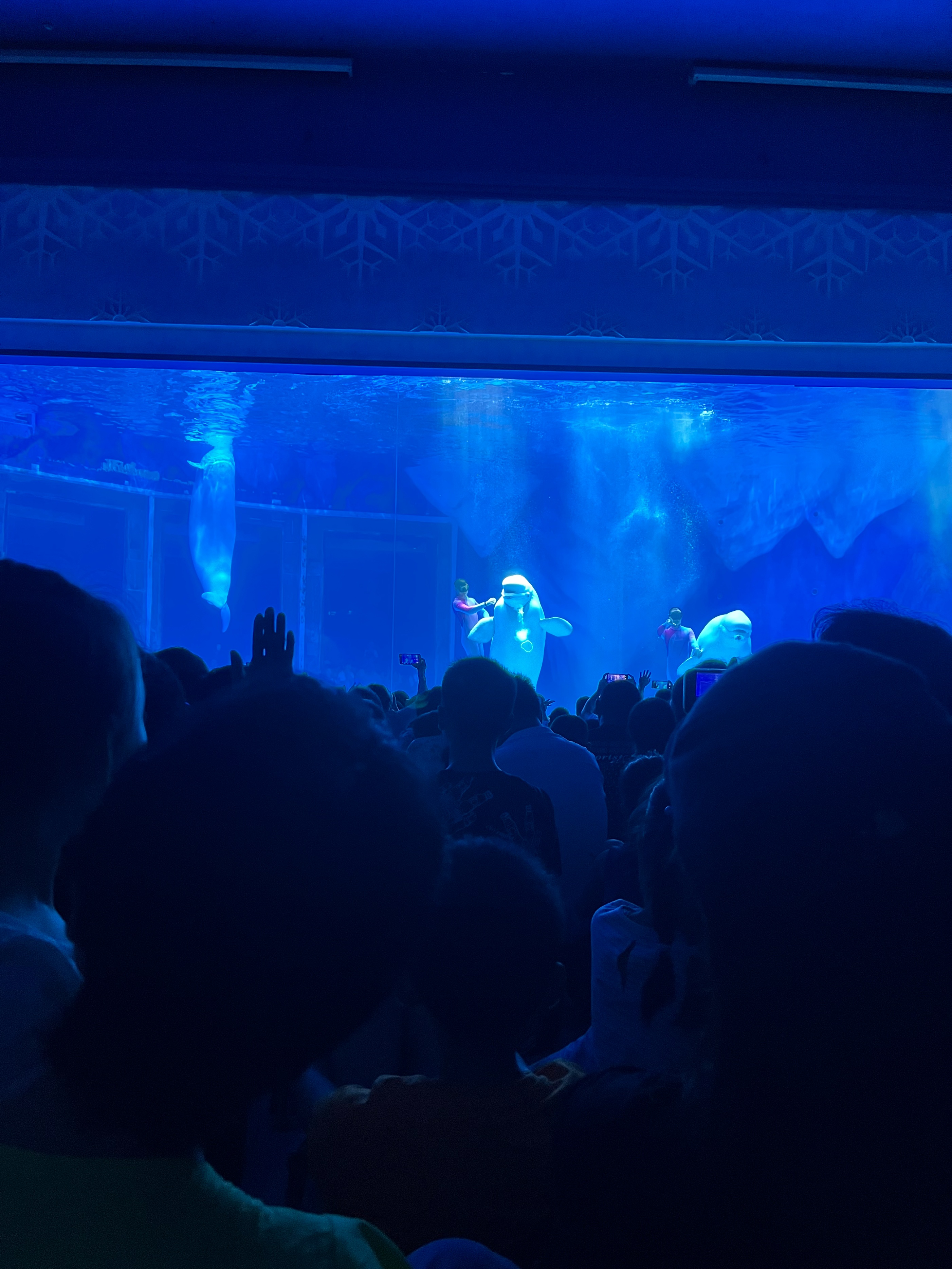 日本奥特曼主题公园旅游,上海奥特曼海昌海洋公园特惠门票