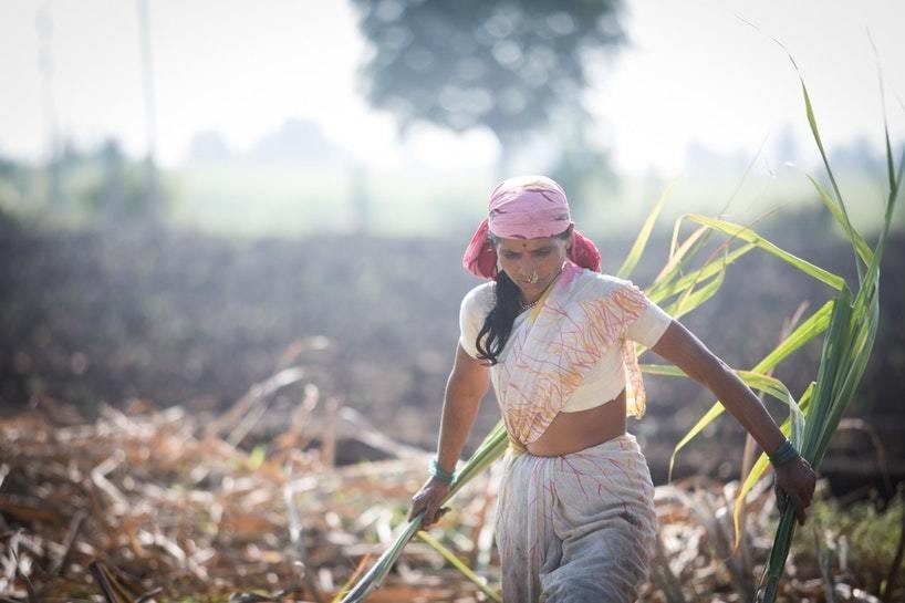 印度无子宫真实现状,印度切除子宫是怎么回事