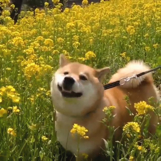 春季面部皮肤发红发痒怎么办,春天面部痒怎么回事