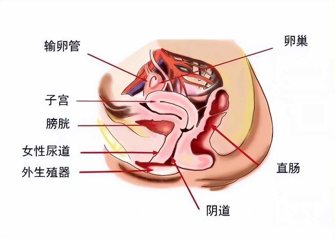 医院内尿路感染常见的诱因,尿路感染最严重的后果