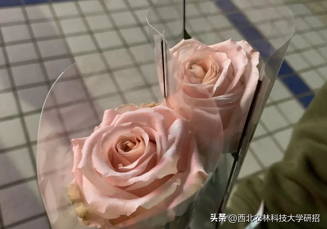 【“研”途风景|第6期】突然发现的瞬间