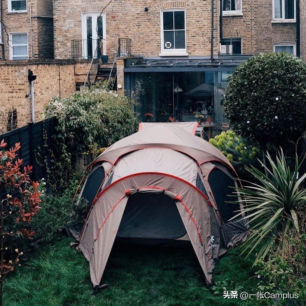 snowpeak进中国了吗,snowpeak上海