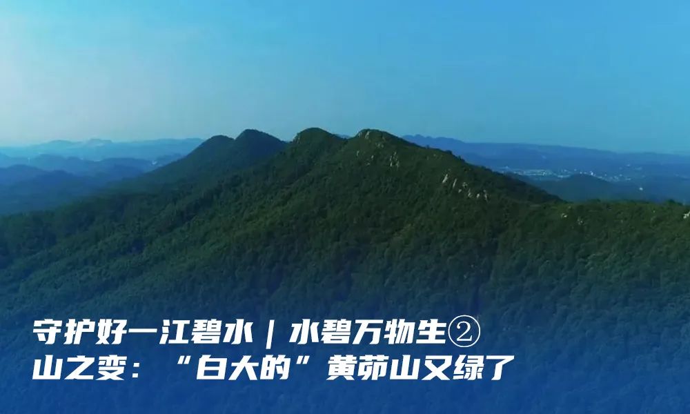 变！变！变！变！变！1.2亿人在看···