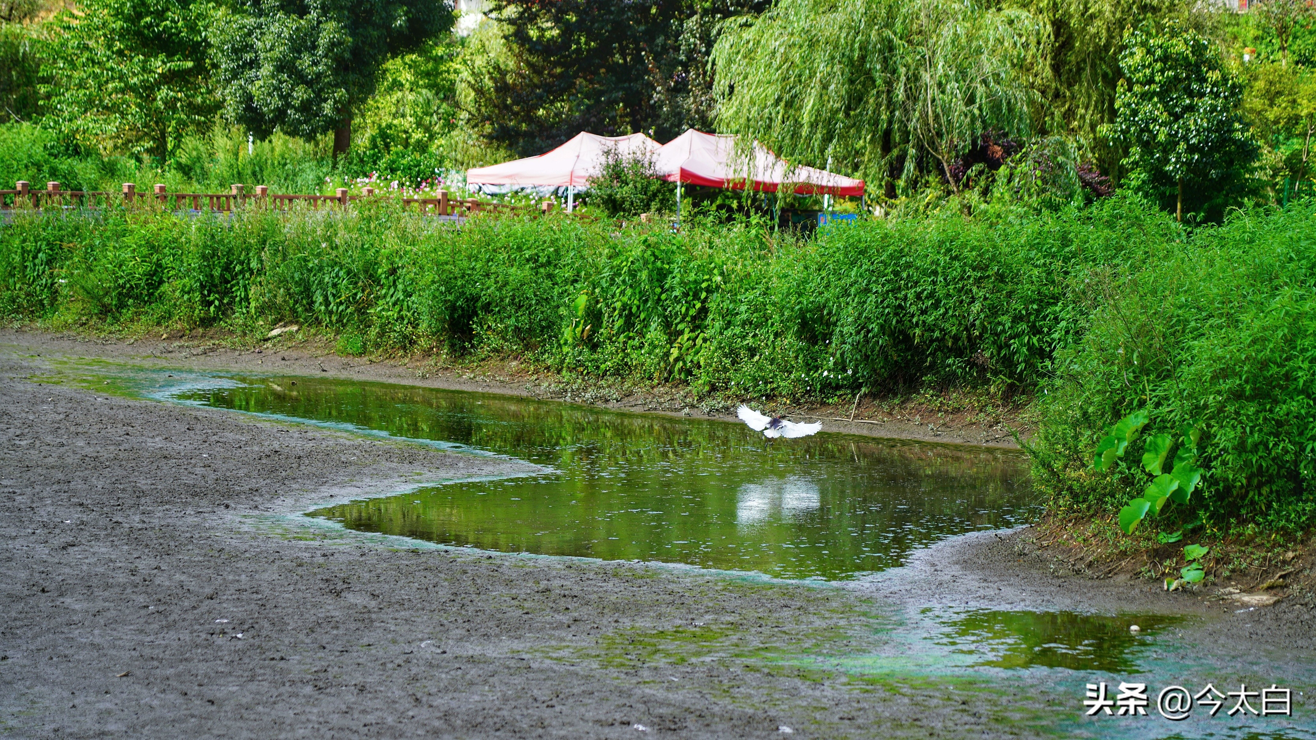 比黄果树瀑布还高8米,比黄果树还高6倍的瀑布