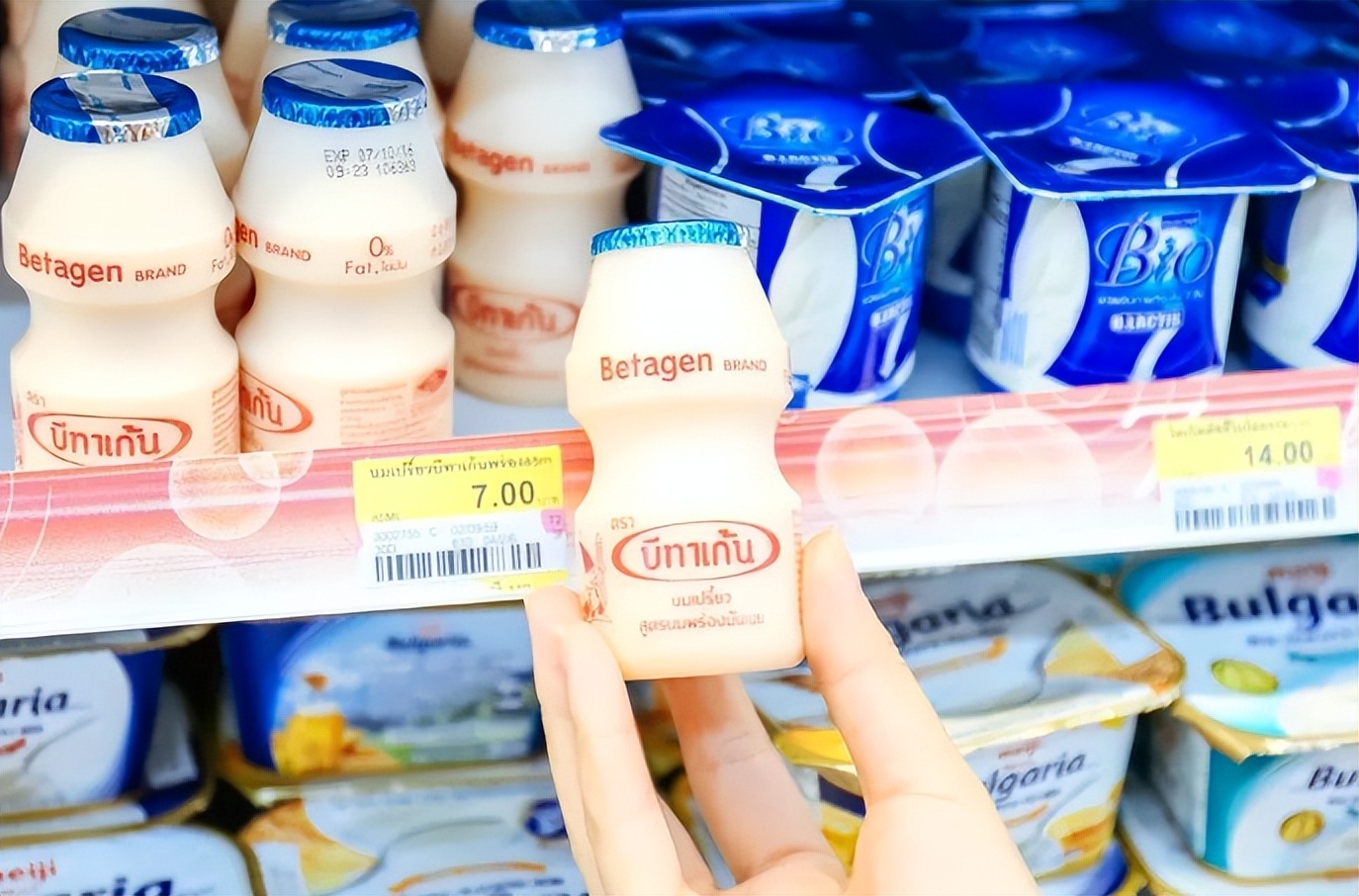 养乐多是一家什么样的公司,养乐多集团的创始人