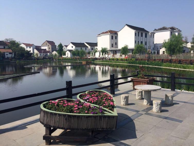 上海市内自驾游一小时哪里好,上海自驾游攻略线路推荐