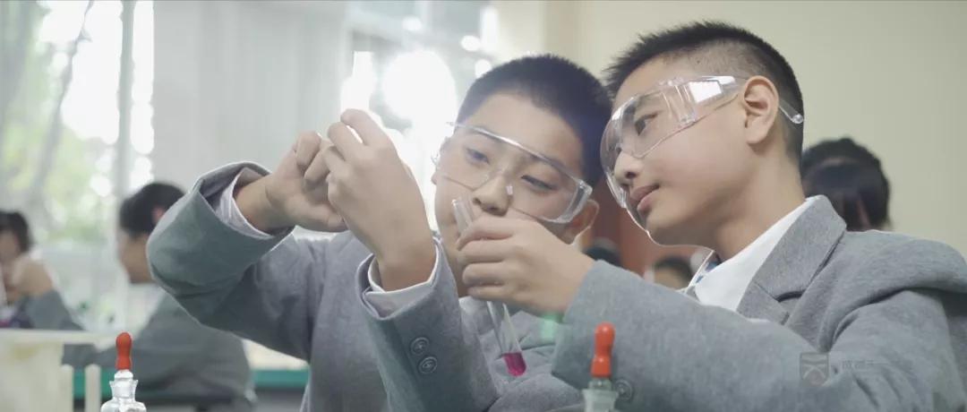 一部关于学校的纪录片,学校短片最火