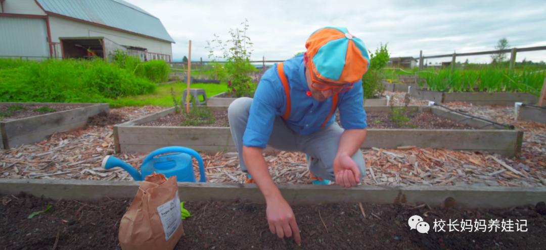 关于春天种植的英文儿歌,英文种植儿歌
