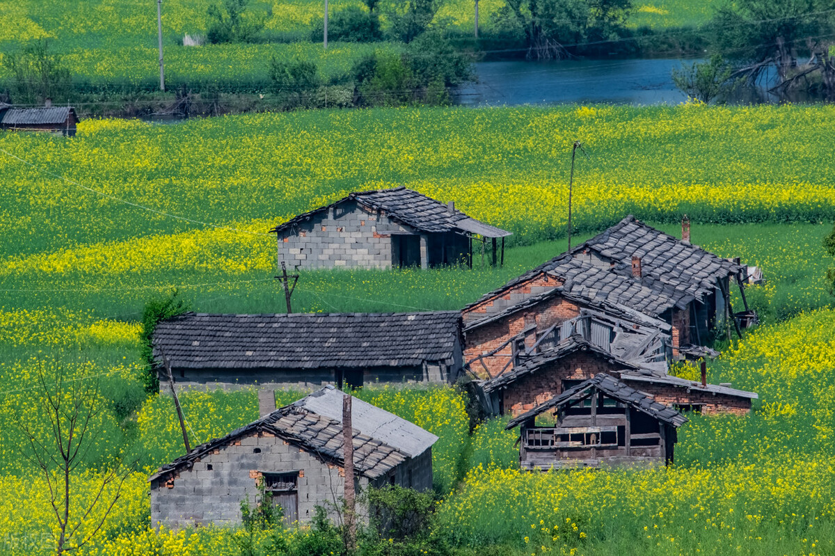 美国农村土地制度与中国区别,美国乡村一般农民靠什么生活