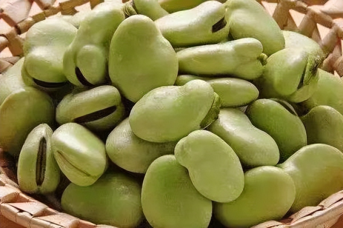 故乡留下太多的记忆,故乡留在我记忆深处的作文