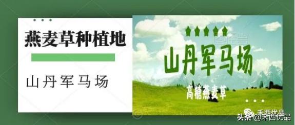 饲料价格暴涨怎么办,饲料价格调整方法