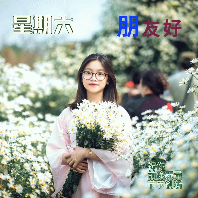 新的一周早安正能量句子图文,早安语录大全图文