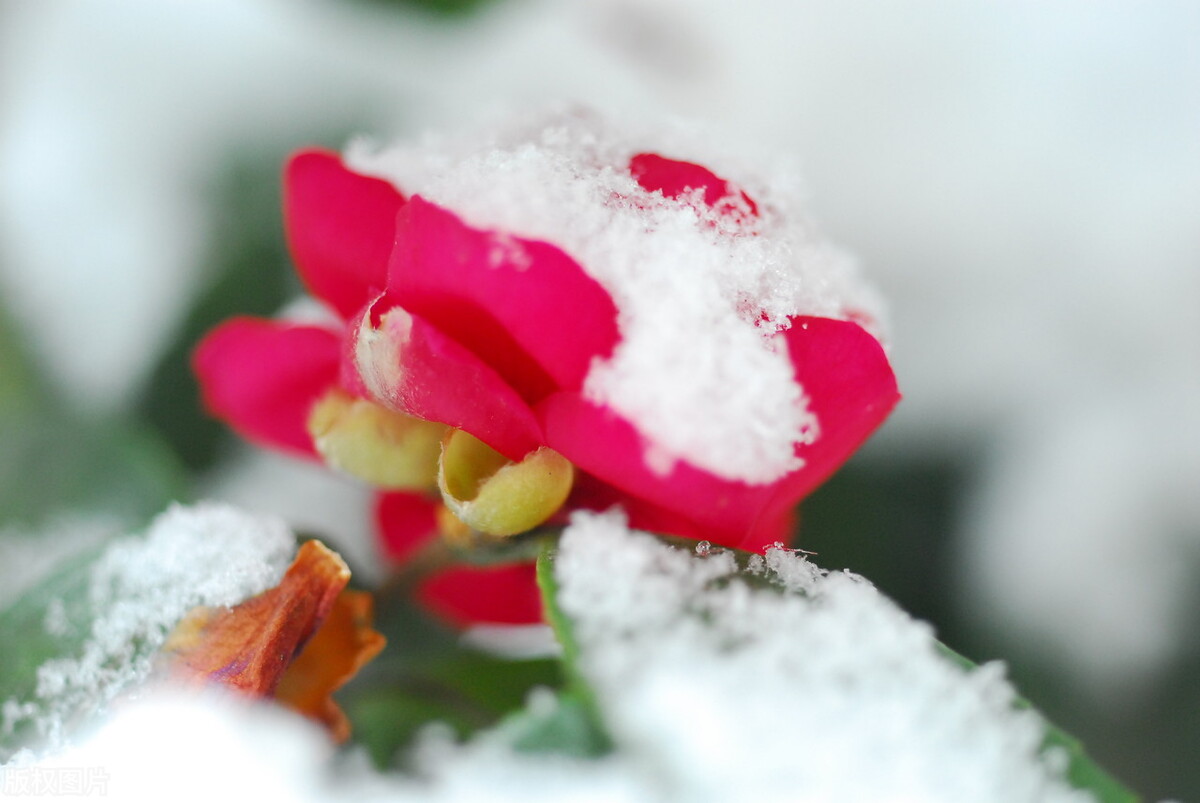 人间正道是沧桑是什么意思,人间正道是沧桑连续剧