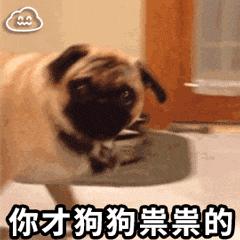 支原体衣原体阳性一定是非淋吗,男性衣原体和支原体呈阳性怎么办