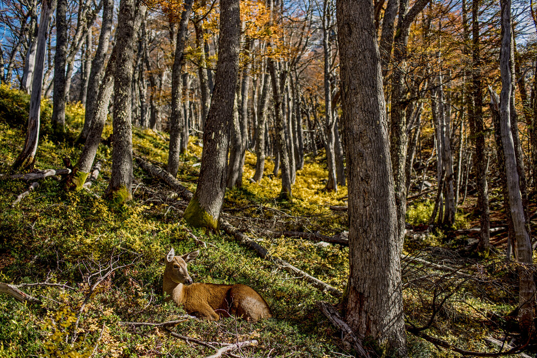 疫情后哪个国家旅游最好,疫情后海外旅游推荐
