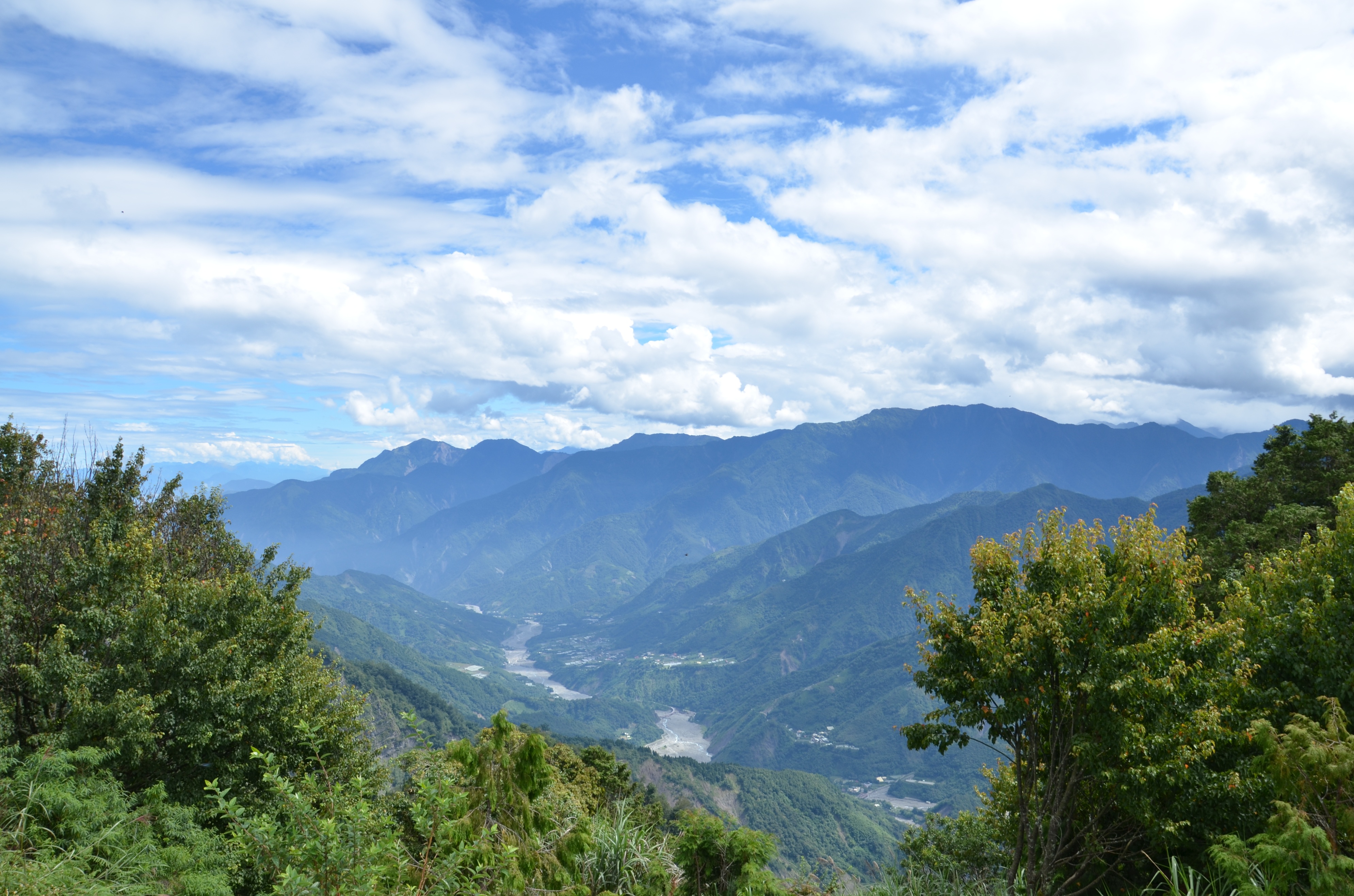 台湾阿里山古树,台湾阿里山景区