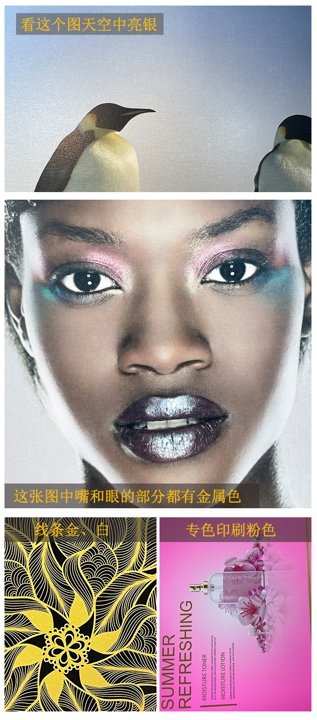 价格实惠的印刷机,快速平版印刷机