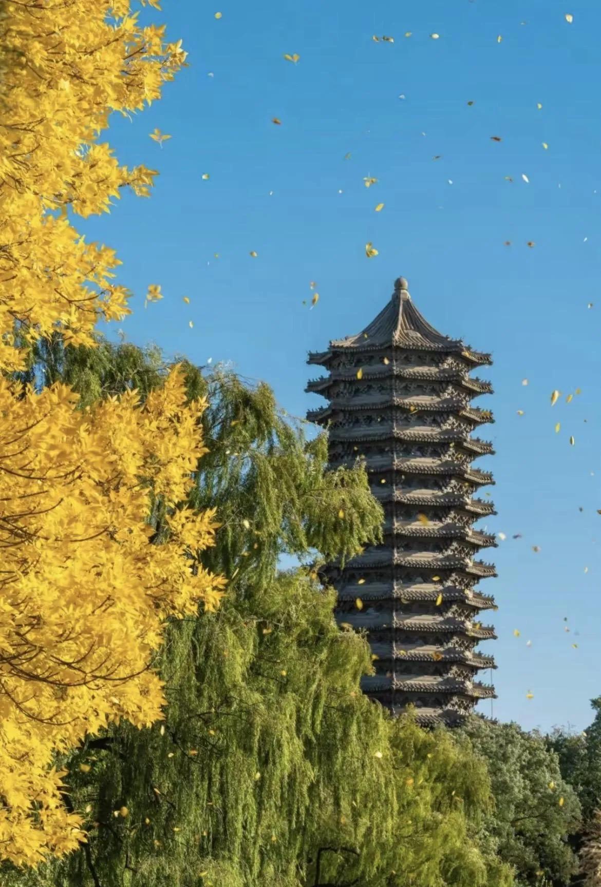 文科大学专业介绍大全,文科大学专业介绍与就业方向