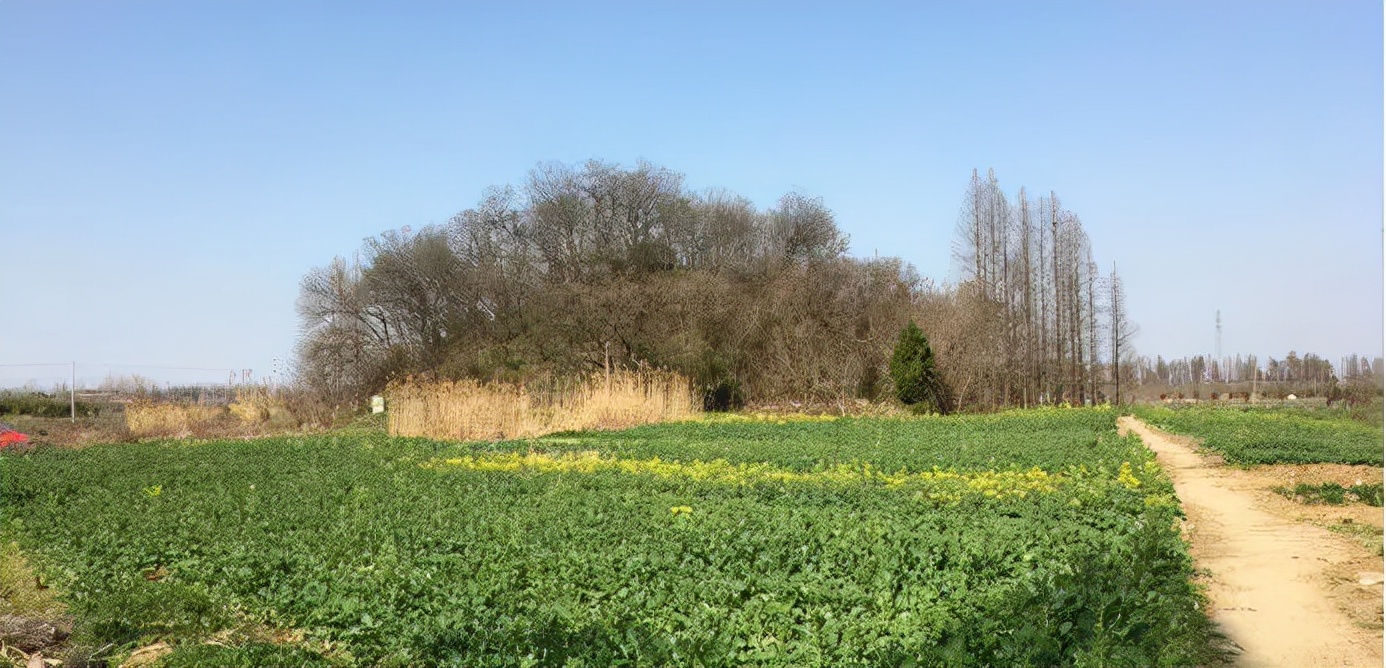 丹阳孙坚墓守墓人,丹阳孙坚墓