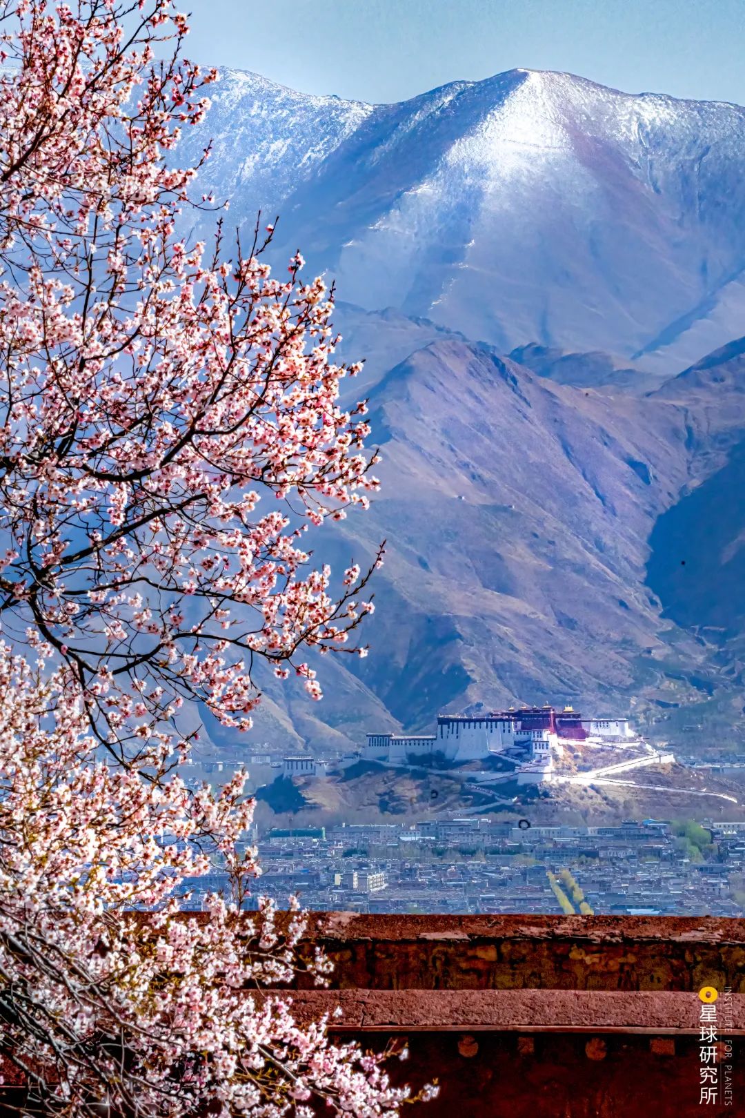 在布达拉宫可以看到什么,去布达拉宫看什么