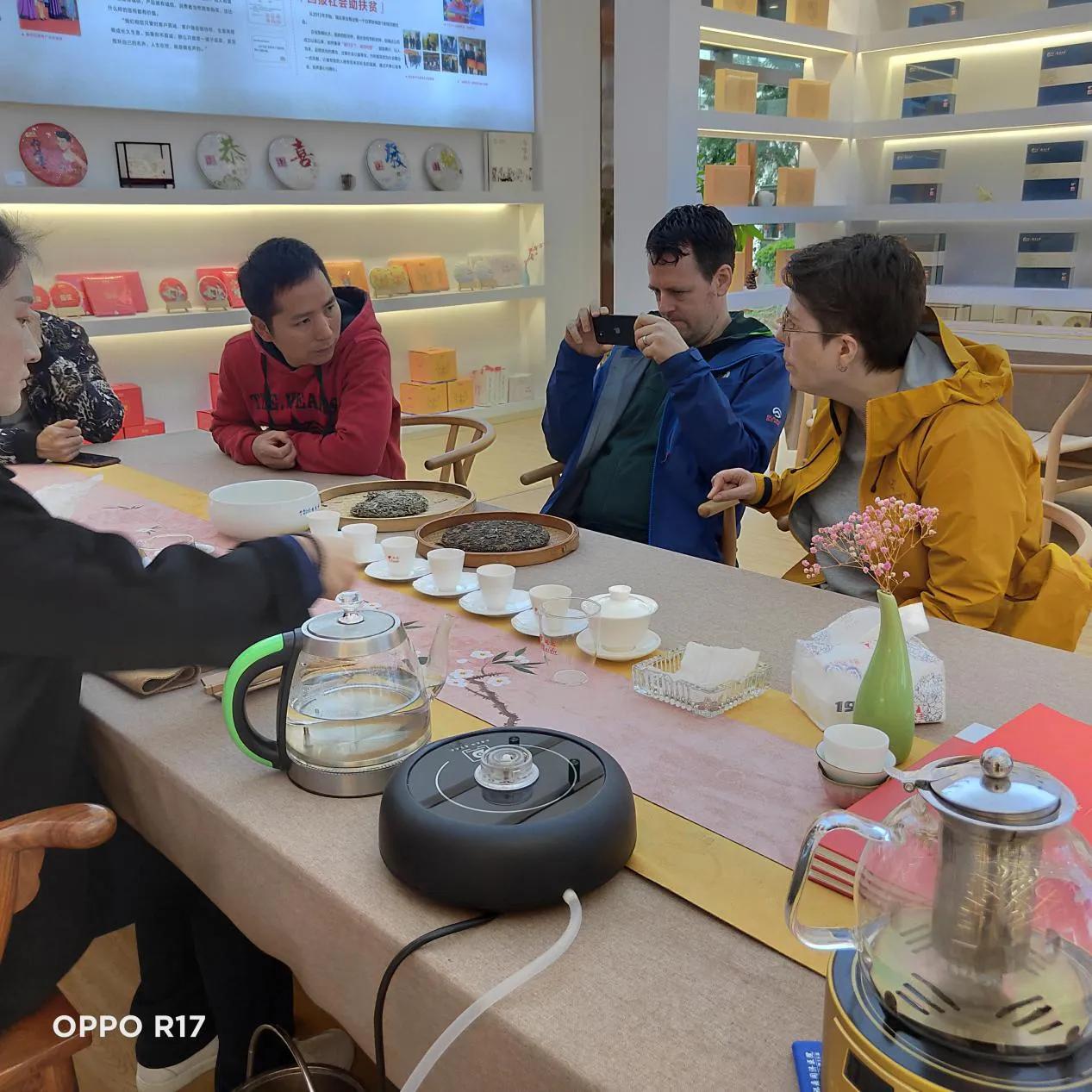 世界白茶在中国中国白茶在福鼎,世界白茶发源地在中国景谷