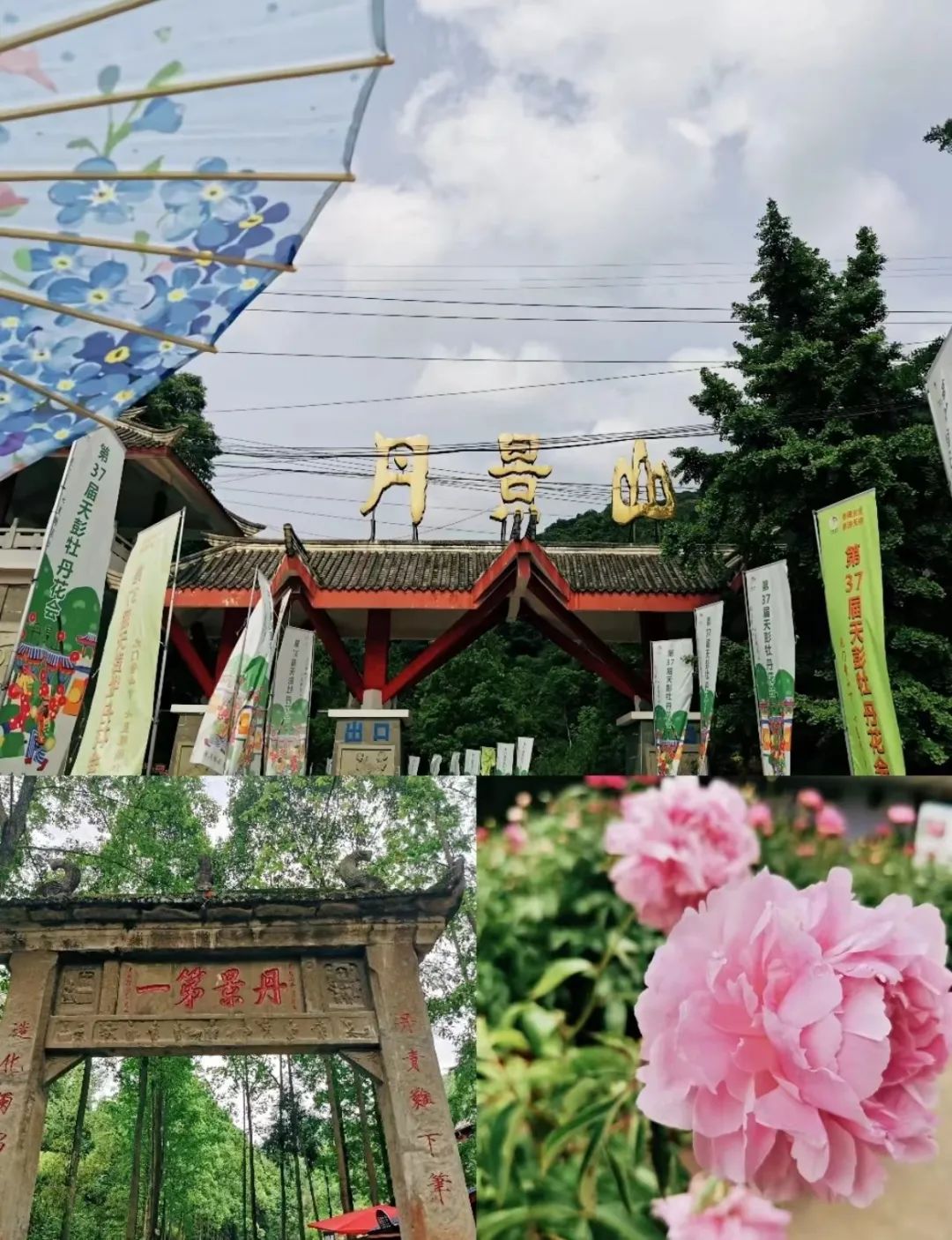 褰窞鐧介箍灏忛晣闇嶆牸娌冭尐,褰窞闇嶆牸娌冭尐