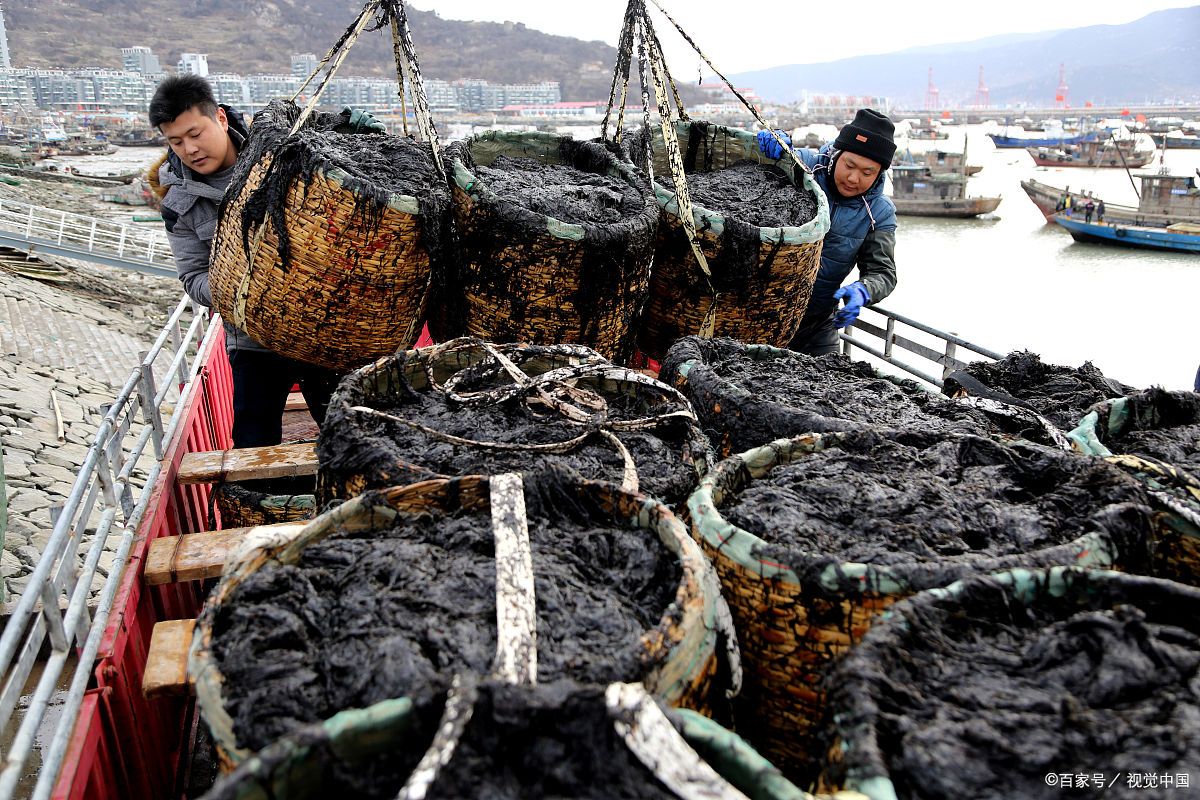 珠海特产排名前十名,广东特产排名前十名海鲜干货