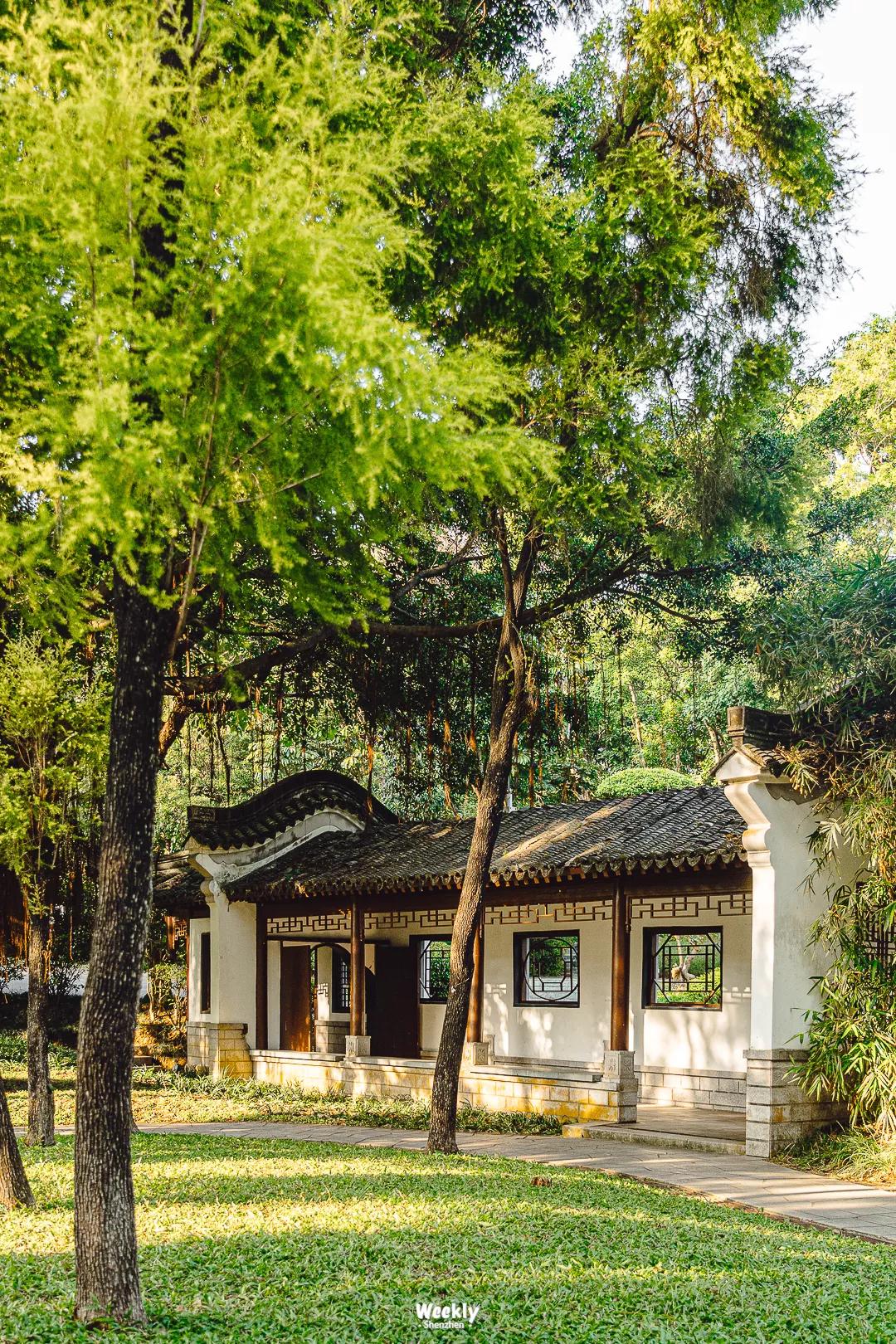 真羡慕那些住高档小区的人,真羡慕住在海边的人