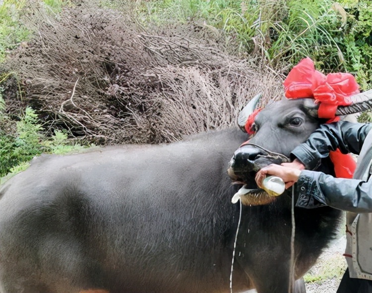 五款纯粮酿造好酒分享,福建人常喝的好酒