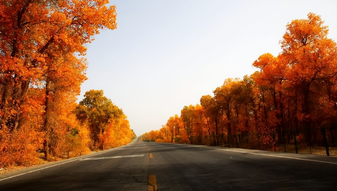 环游新疆15天,环游南疆8天攻略