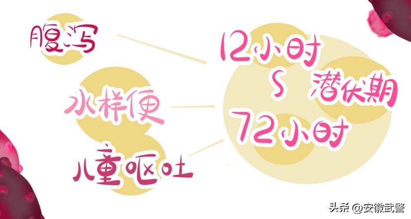 甲流和诺如病毒的区别,甲流和诺如可以吃布洛芬吗