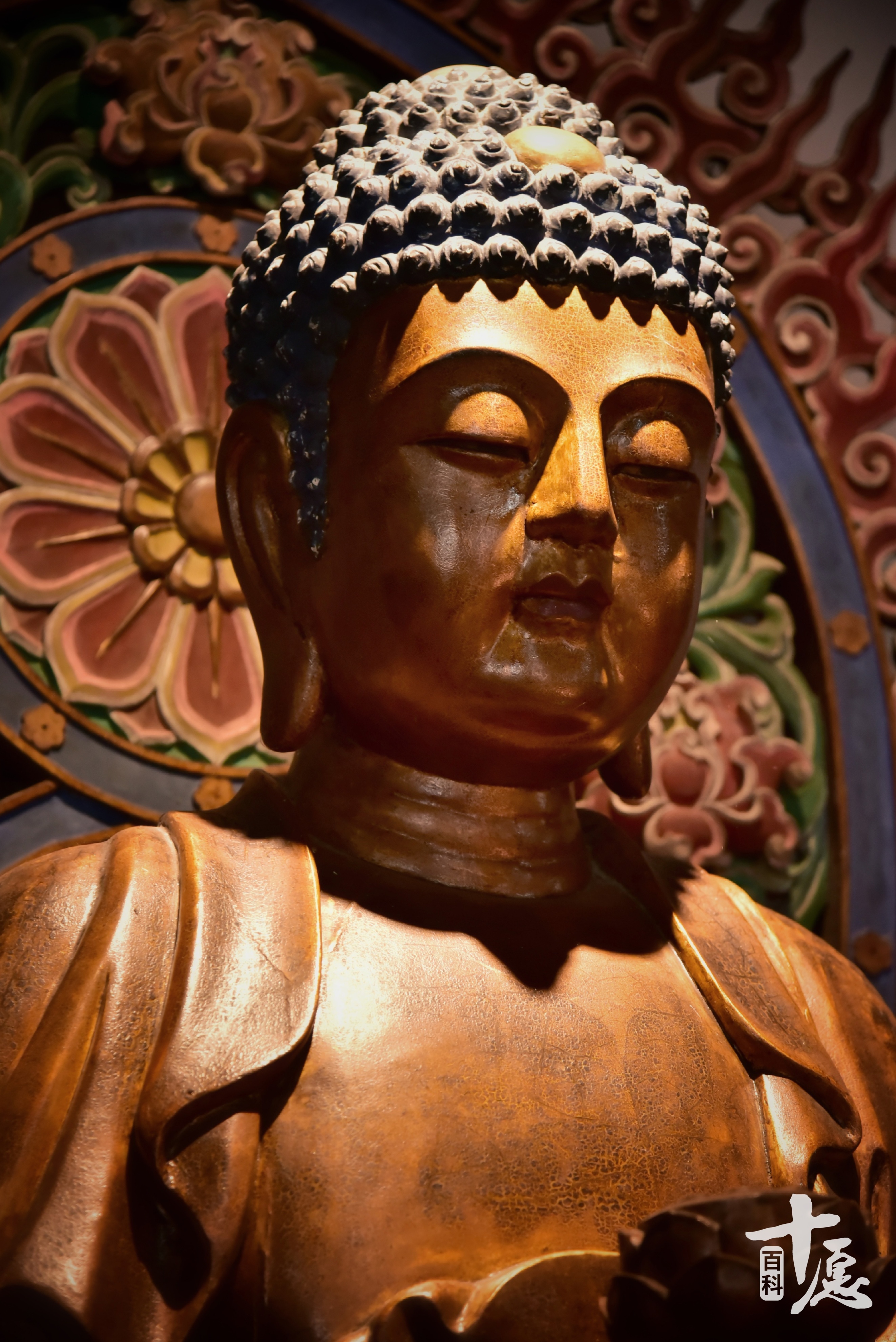 为什么要学阿弥陀佛,为什么法师要说南无阿弥陀佛