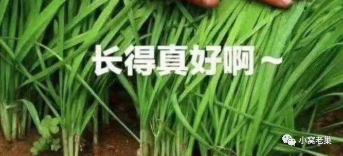 上证50沪深300中证500有什么区别,科创50和中证500哪个值得投资