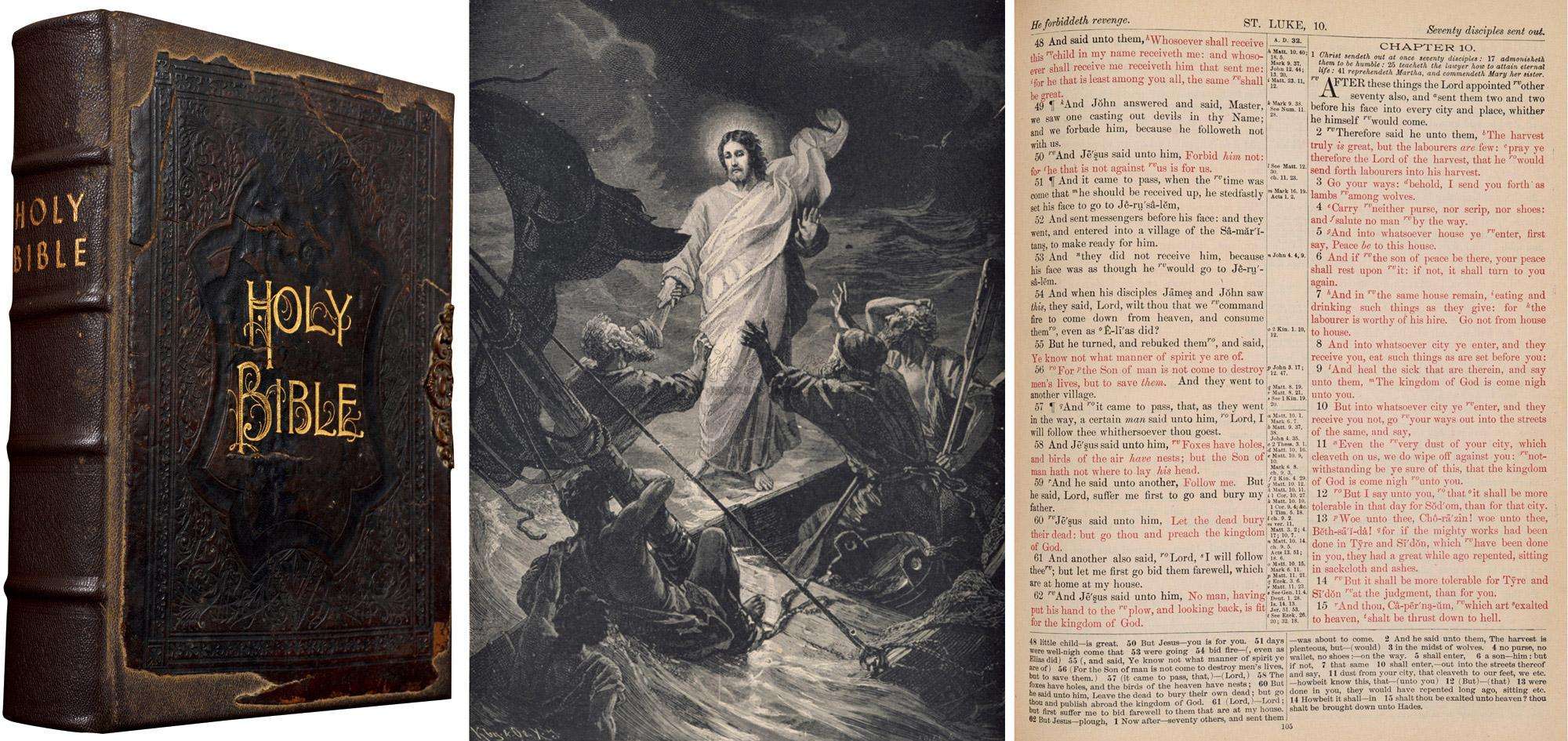 日本农场黑羊学人类行走真相,一个黑羊把母鸡引到房子里吃掉