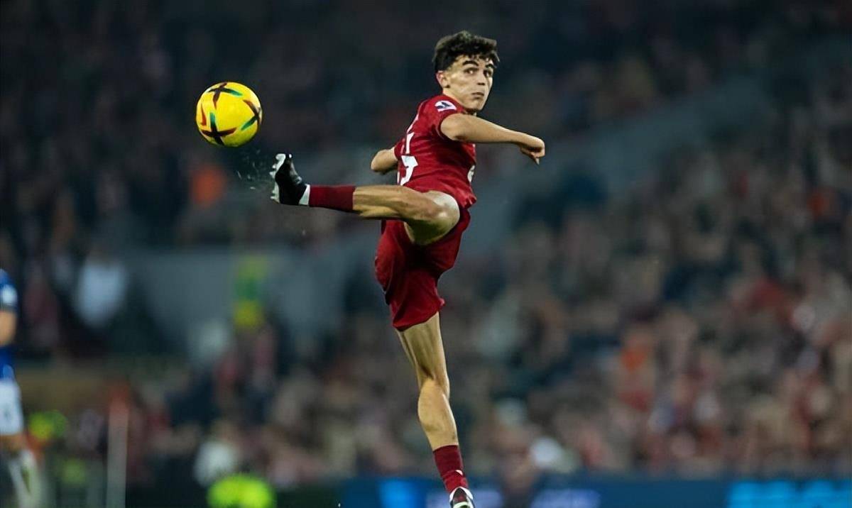 菜鸟变首发仅用时四个月，利物浦化解中场困境仅花费22.4万英镑