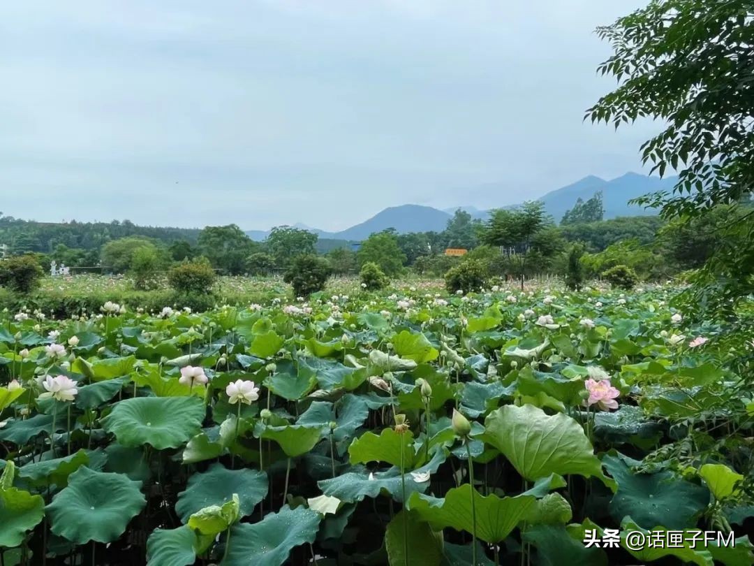 上海首家沙县小吃旗舰店10月开业,“国民小吃”转型升级在沪明合作下步入快车道