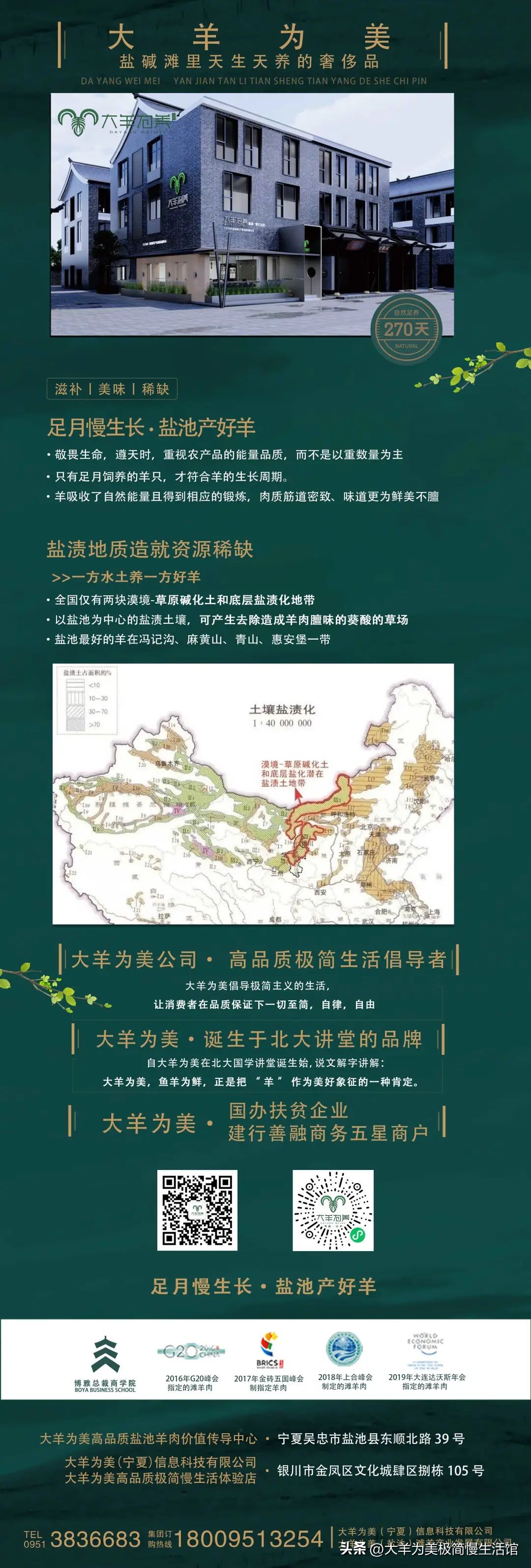 盐池滩羊什么口感,盐池滩羊品鉴店抖音团购