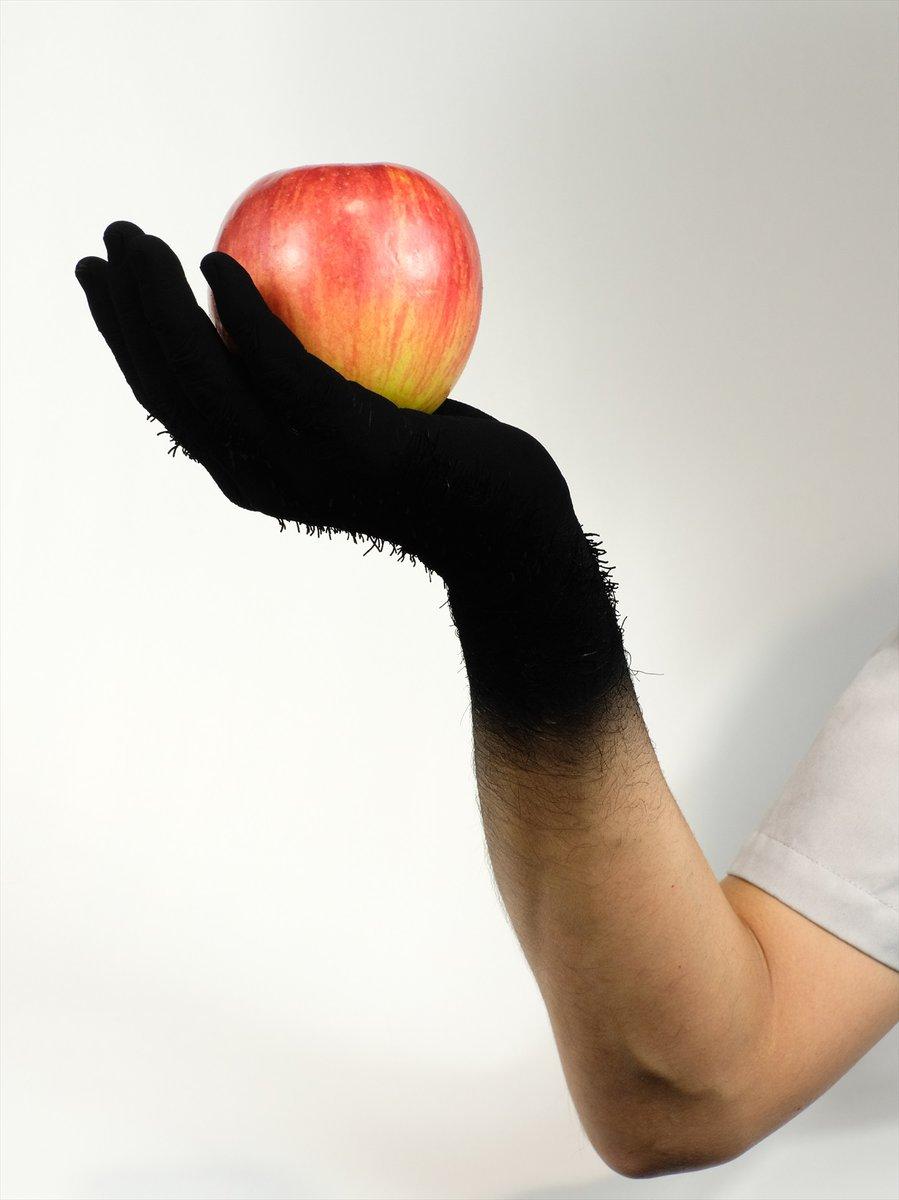 整活小能手,日本作死小能手全集