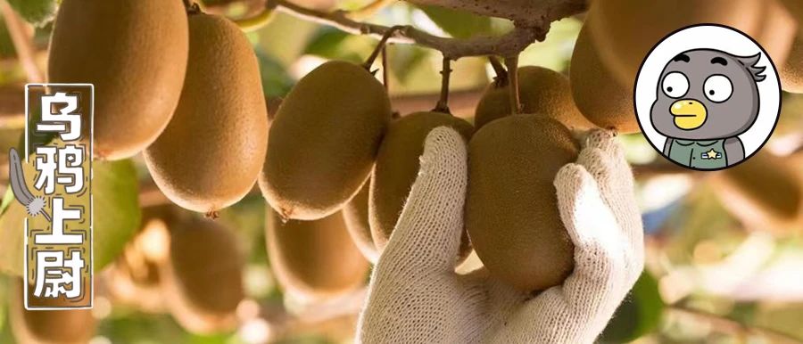 新西兰弄走了湖北猕猴桃，还让中国人付版权费？