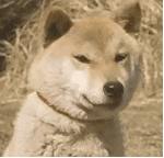 中国人下南洋如何白手起家,白手起家的人特征