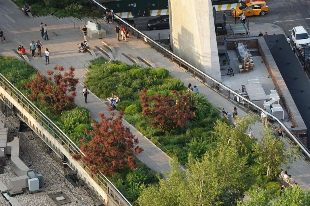 评价高颜值的神评论,高颜值高评价