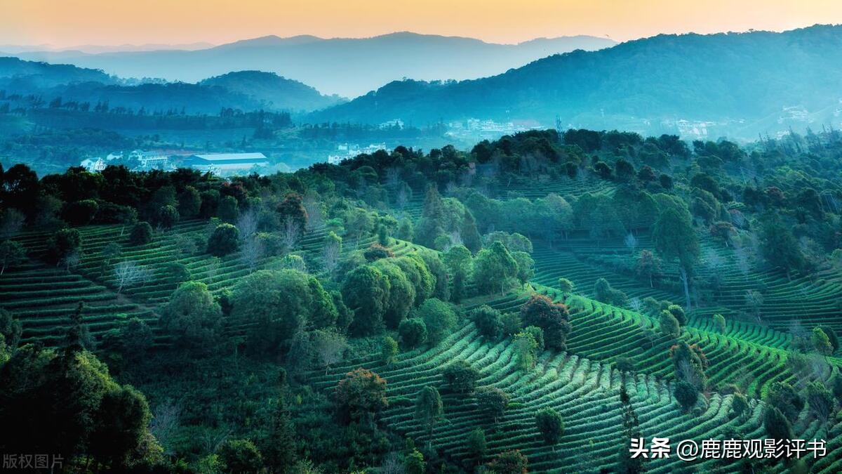 如何《站在山顶》：“经营之神”告诉你“*局破**之道”