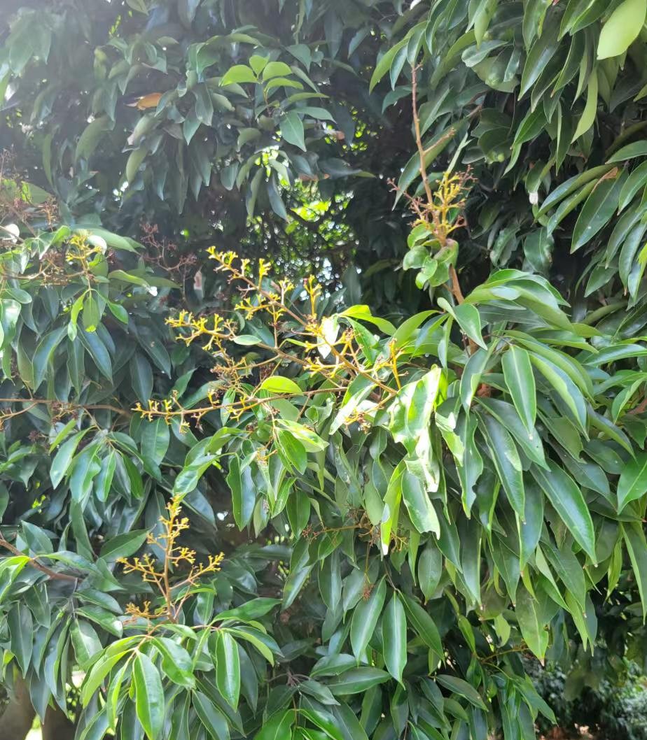 周末邀朋友小聚休闲享受周末,周末三五好友小聚喝茶品美味