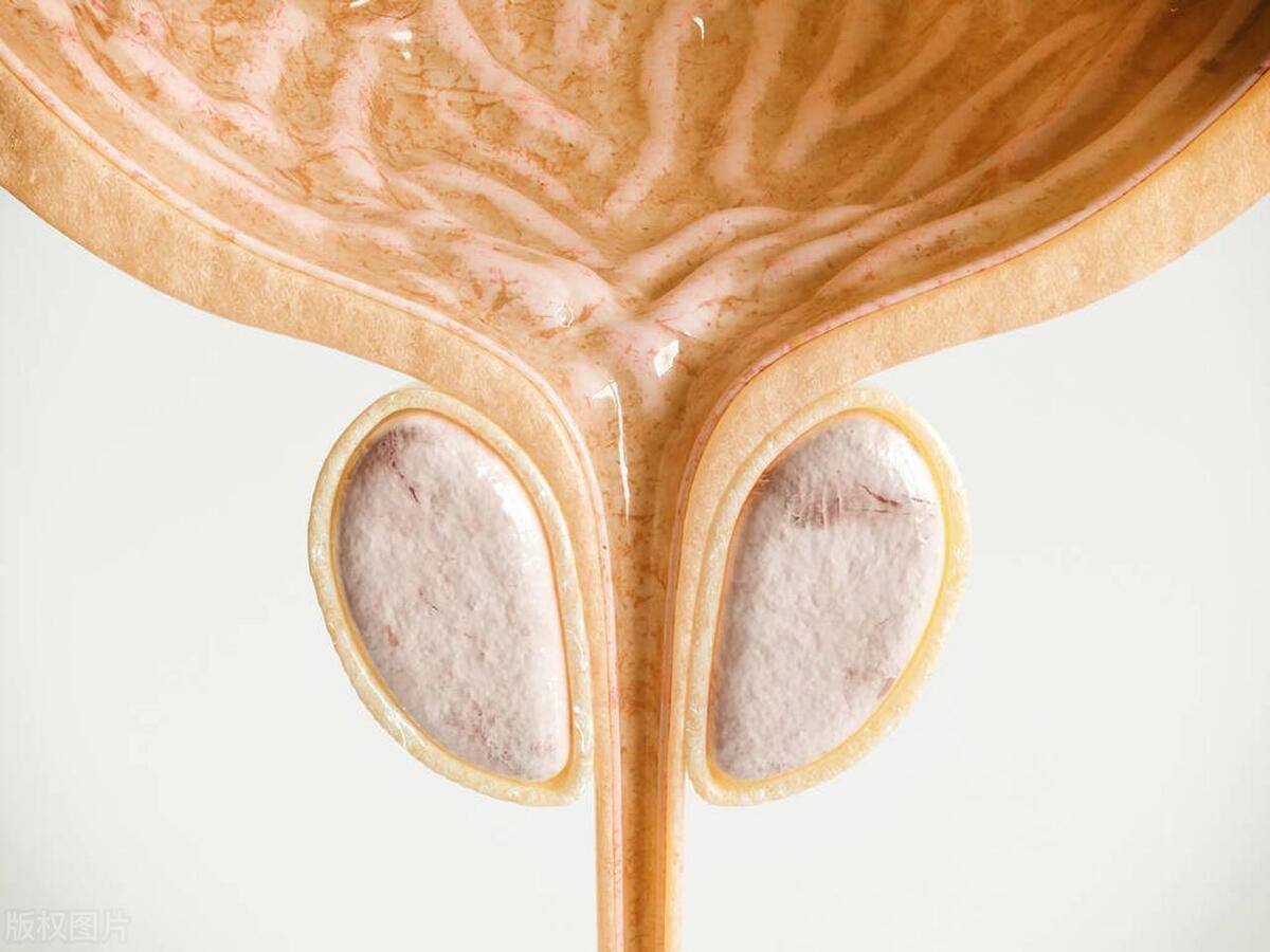 中老年男性一定要保护好前列腺,父亲节守护前列腺义诊活动