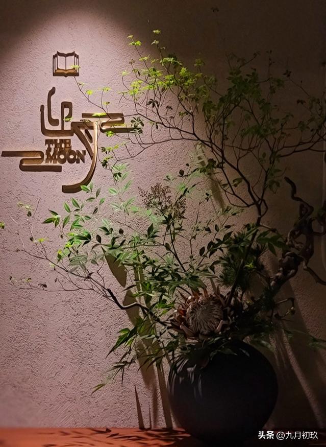 小众又高级的「塔影空间」免费开放，来上海一定不要错过