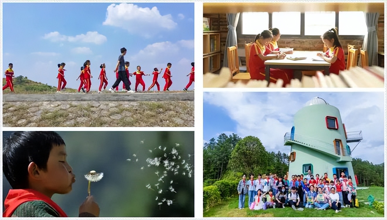 买正版书拼多多,书包学生拼多多